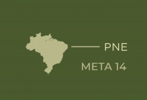 PNE Meta 14