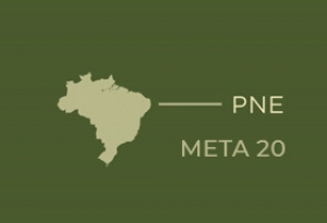 PNE Meta 20