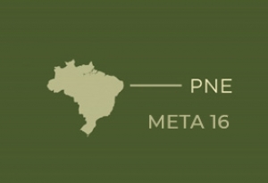 PNE Meta 16