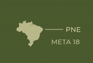 Pne Meta 18